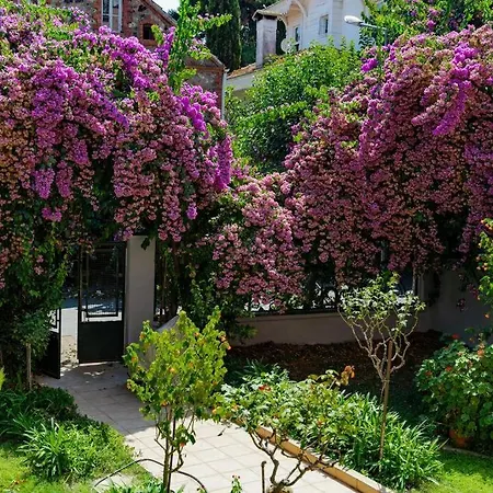 Modern And Designed 2br W Garden דירה אדאלר