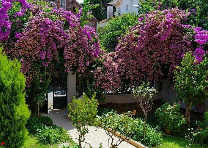 Modern And Designed 2br W Garden Daire Adalar